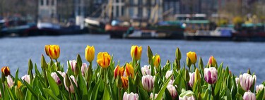 Cinco escapadas por Europa que deberías hacer esta primavera 