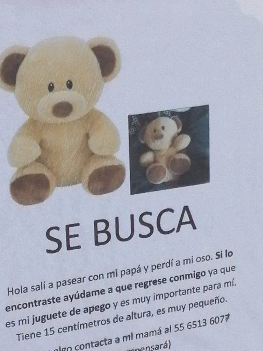 Ay, no: Familia pega volantes para encontrar a un osito de peluche y se hacen virales 