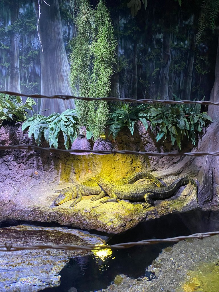 Acuario en Downtown Houston