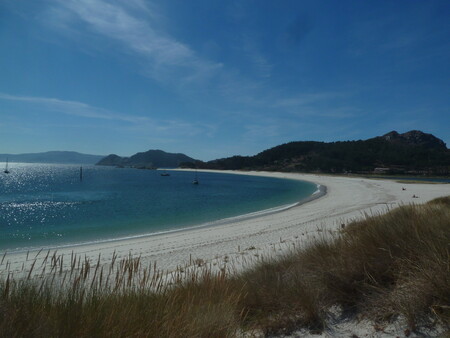 cies