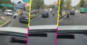 Perrito corre tras el auto de sus dueños al ser abandonado en CDMX