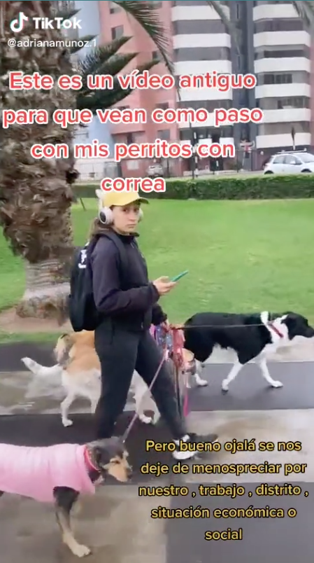 Mega chale: Señalan a señoras de discriminar a mujer que paseaba a un perrito sin raza en el parque