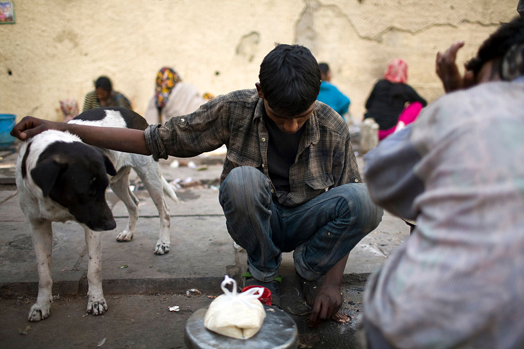 ¡Rifados! Este albergue deja que las personas en situación de calle se refugien con sus mascotas