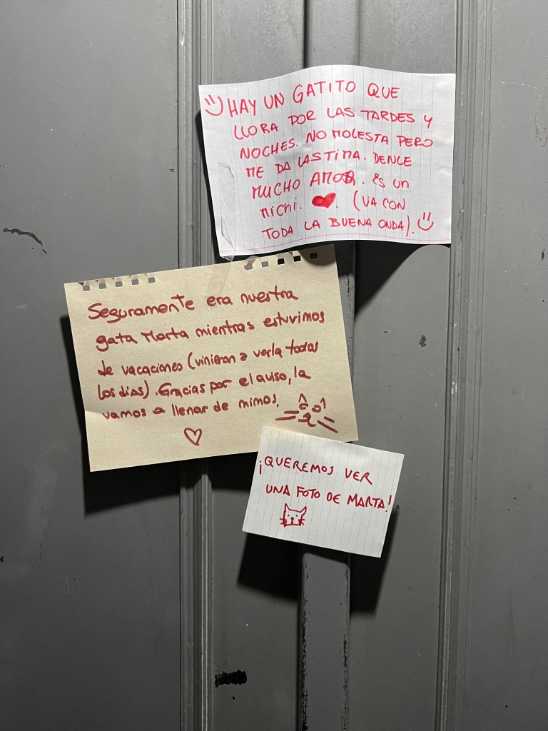 Vecinos comparten fotos de sus gatitos en un elevador y se hacen virales