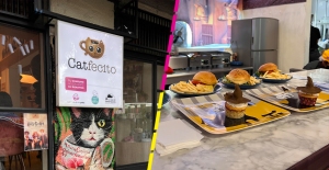 Catfecito: Restaurante en CDMX para amantes de los gatos