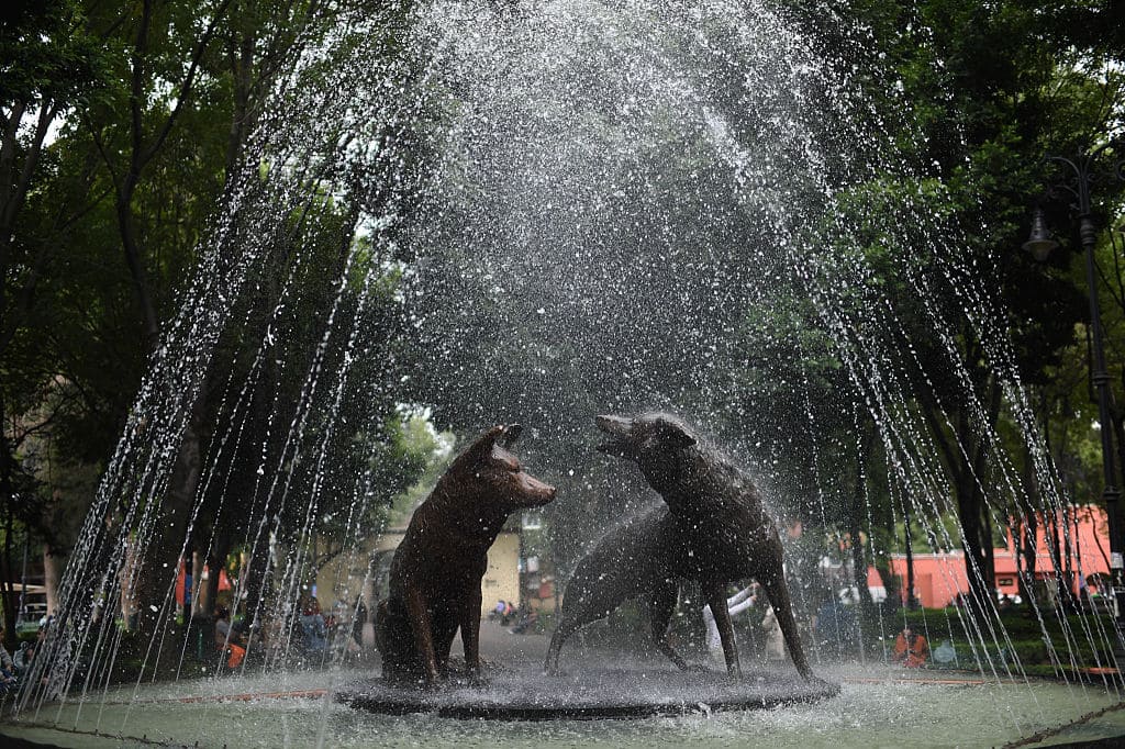 Entre fantasmas, tradiciones y mitos: Las leyendas más famosas de Coyoacán