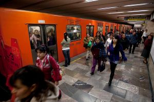 Los fósiles marinos en el metro