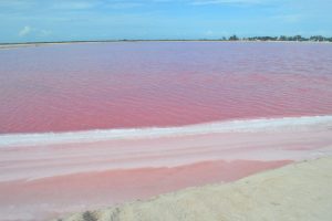 Visita a las coloradas