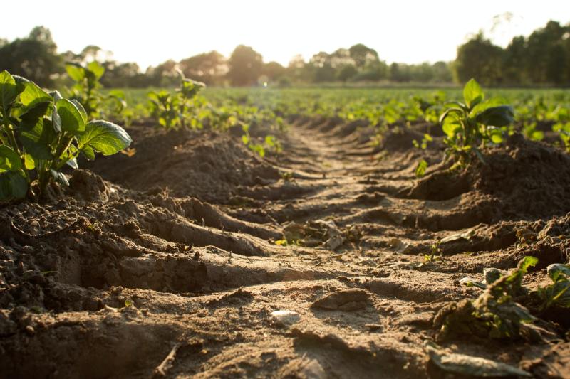 suelos suelo biodiversidad agricultura