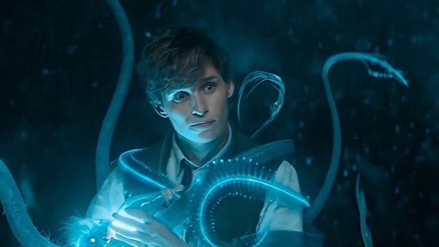 eddie redmayne animales fantásticos