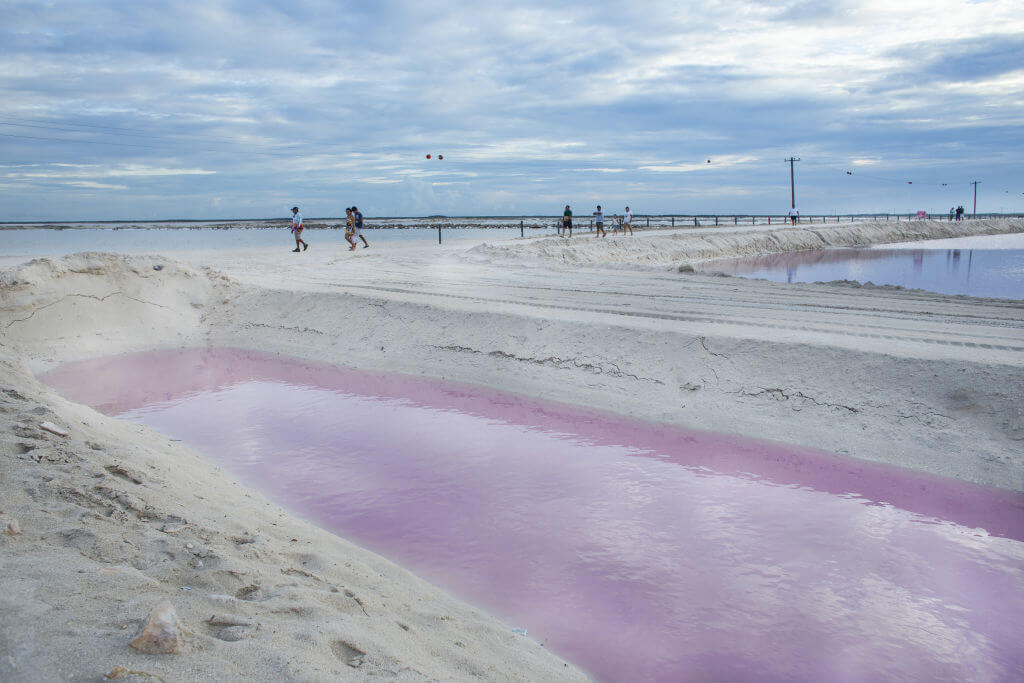 Visita a las coloradas