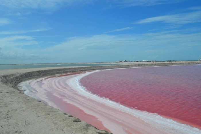 Visita a las coloradas