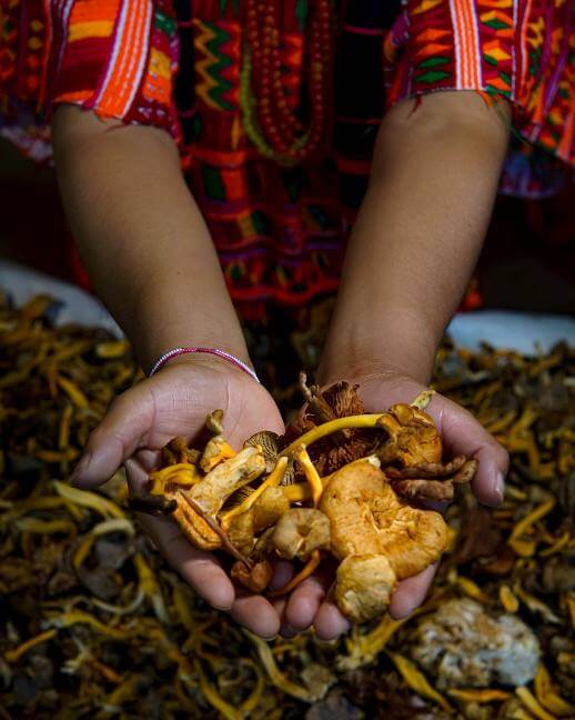 un-jardin-en-el-corazon-la-mano