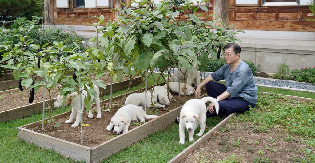 presidente Corea del Sur Moon Jae-in 1