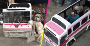 ¡El perrobús! Hombre diseña un autobús para pasear perritos