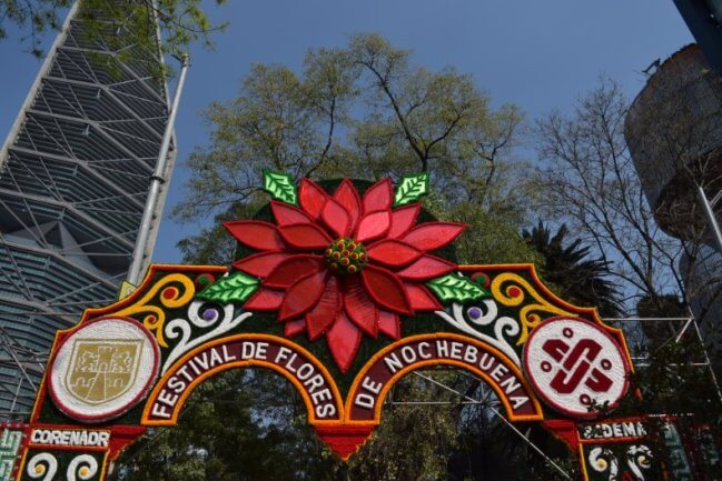 viene-a-la-cdmx-el-festival-flores-de-nochebuena-2022