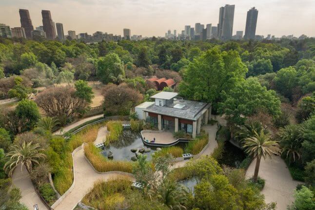 el-nuevo-museo-del-ajolote-en-chapultepec