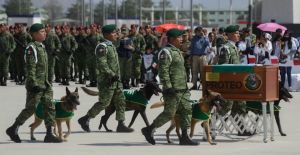 proteo-perrito-rescatista-homenaje-turquia