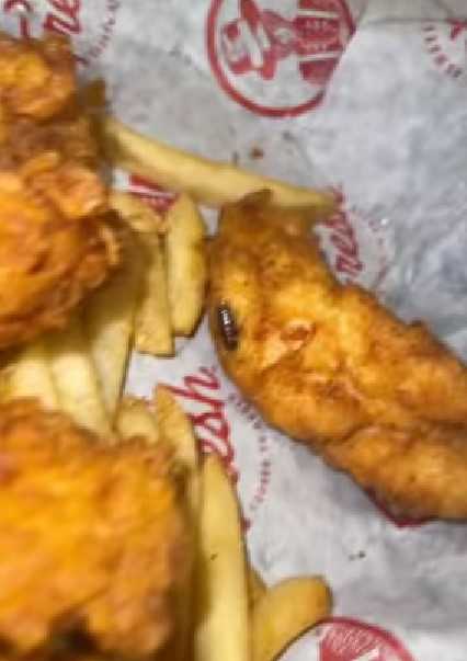 Mujer encuentra cucaracha en su pollo frito y grabó video como evidencia