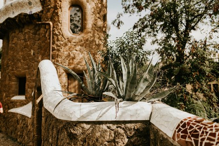 Detalle Parque Guell