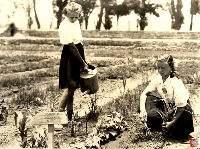 la-pequeña-polonia-una-comunidad-en-mexico