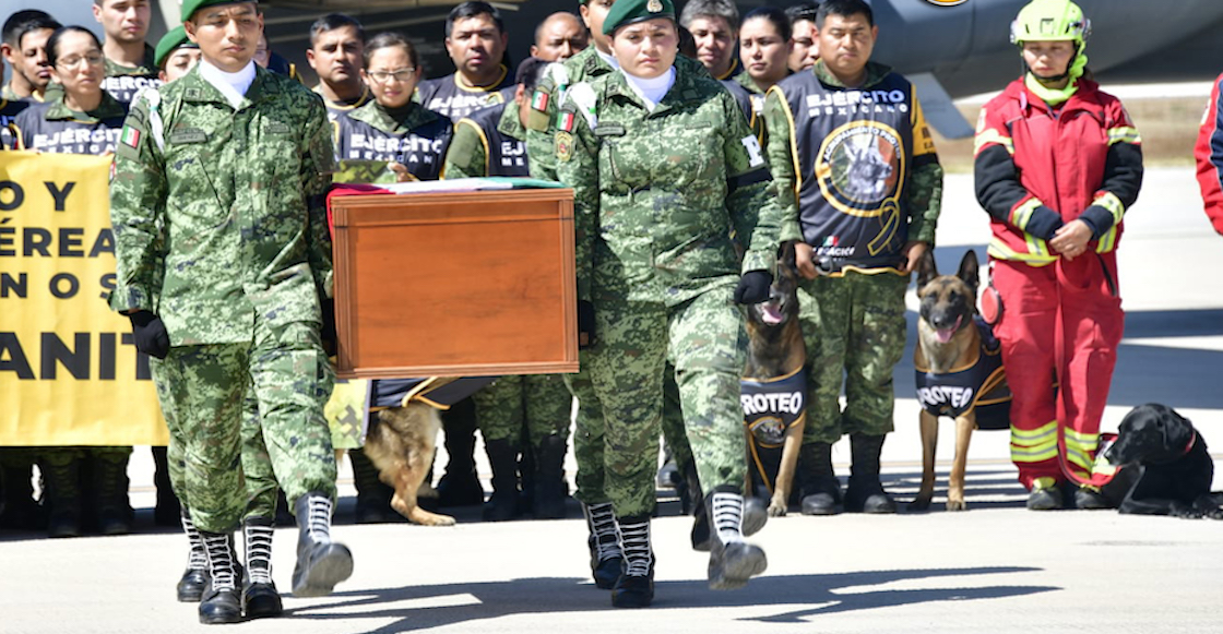 proteo-homenaje-perrito-rescatista