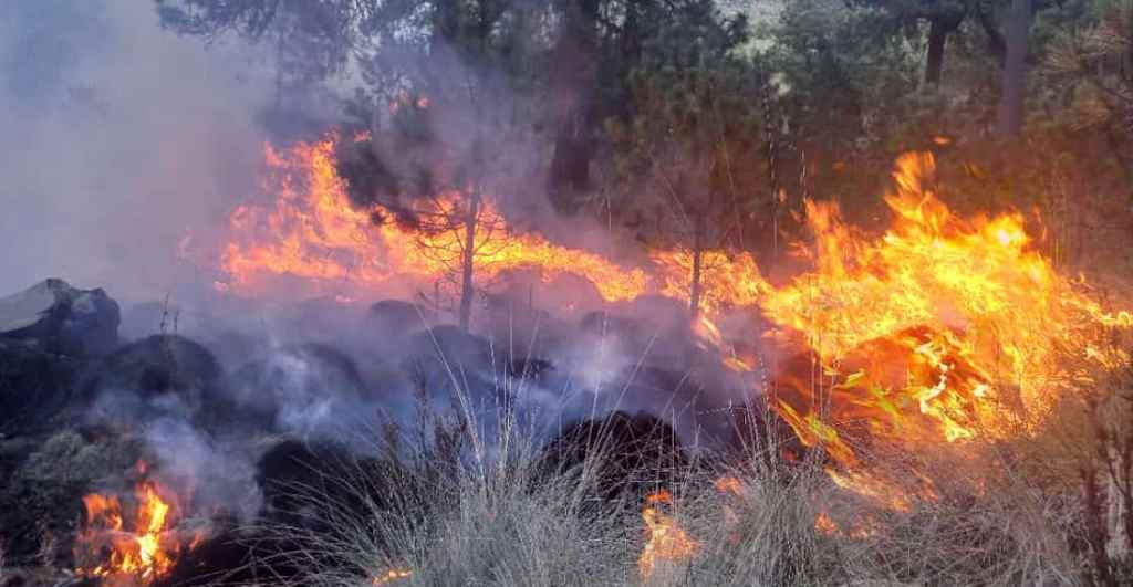 incendio-en-el-pico-de-orizaba-puebla-veracruz-fotos-videos-3