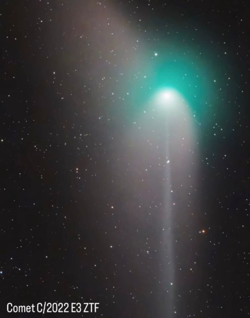 cometa verde