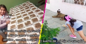 Cumplió su sueño: Niña se hace viral por repartir comida a perritos callejeros