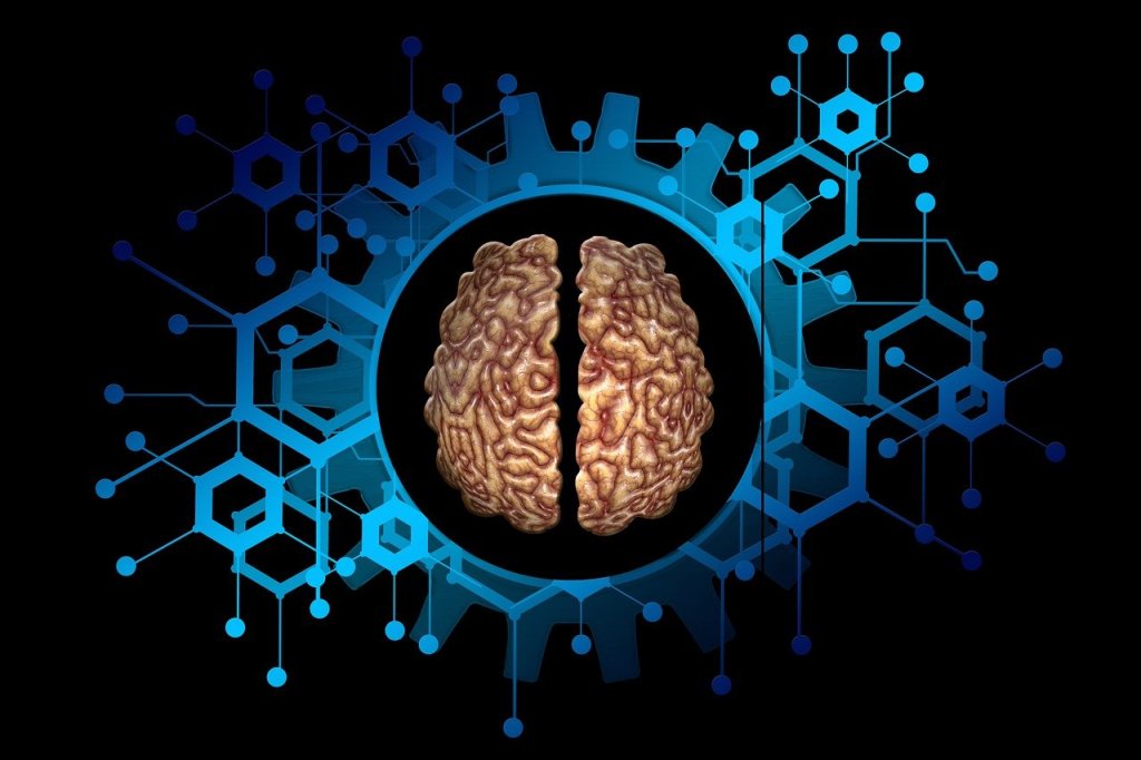 inteligencia artificial organoide