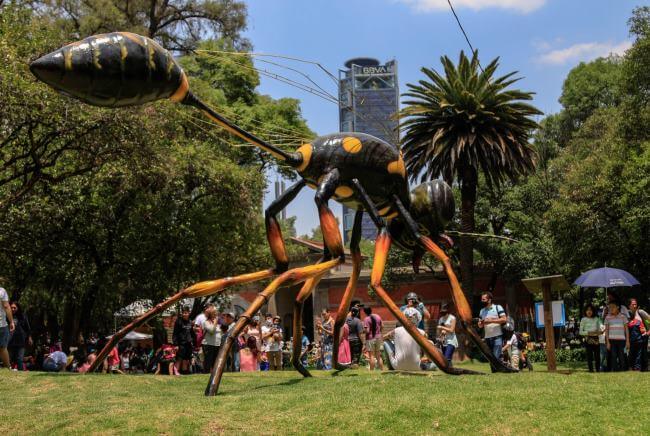 Así será el Festival del Bosque de Chapultepec 