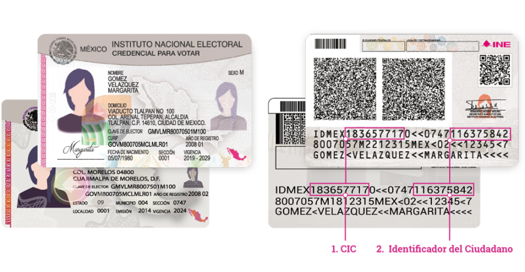 credencial-del-ine-impresa-en-papel-propuesta-bertha-lujan-alcalde-2