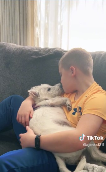 Niño arrulla a su perrita con canción de Coldplay y el video es hermoso