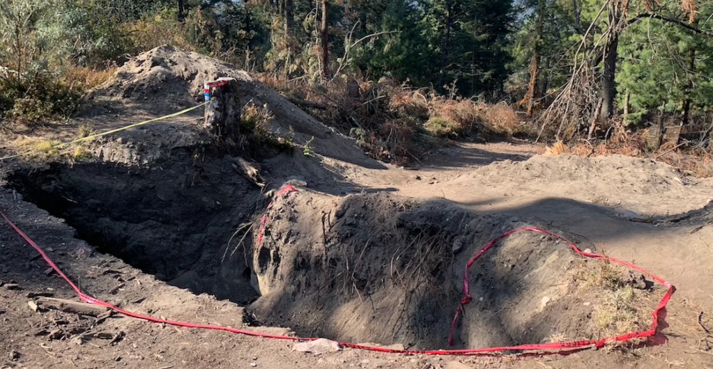 ajusco-taladores-clandestinos-destrozan-bosque-arboles-fotos-dron-2