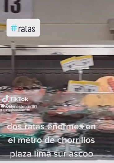 Video: Captan a dos ratas gigantes en un supermercado de Lima