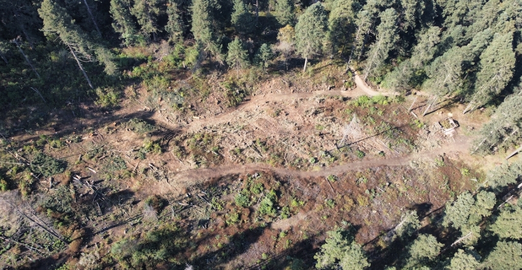 ajusco-taladores-clandestinos-destrozan-bosque-arboles-fotos-dron-5