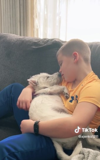 Niño arrulla a su perrita con canción de Coldplay y el video es hermoso