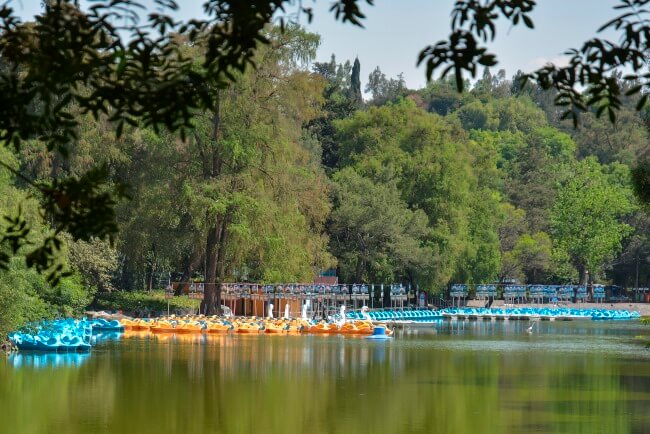 Así será el Festival del Bosque de Chapultepec 