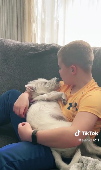 Niño arrulla a su perrita con canción de Coldplay y el video es hermoso