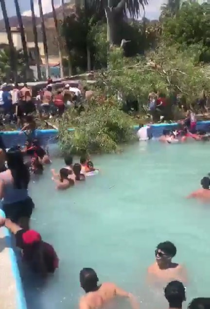 Video: Caída de árbol en balneario de Guanajuato