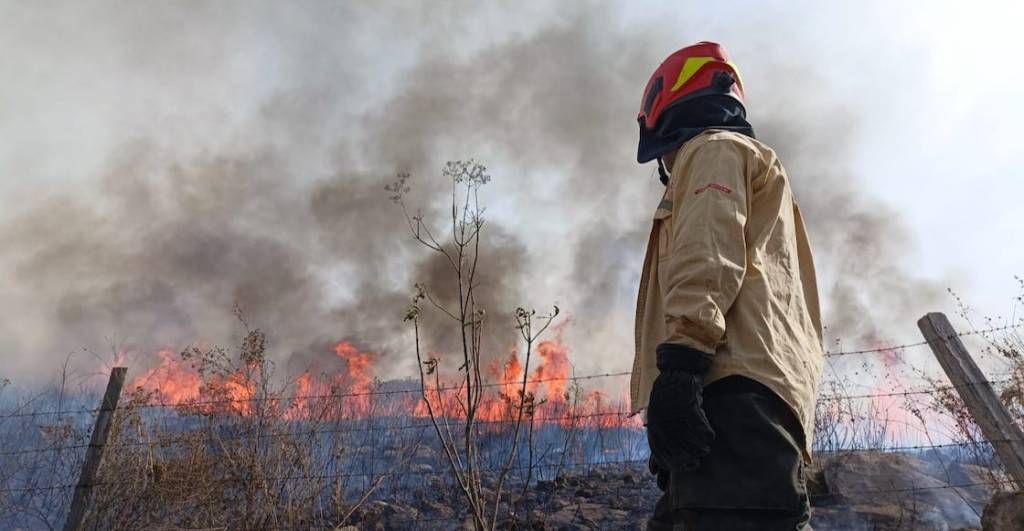 incendios-forestales-jalisco-guadalajara