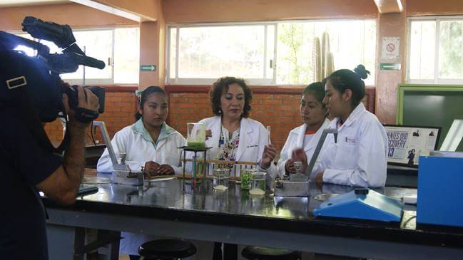 Sabías que… el nopal purifica el agua