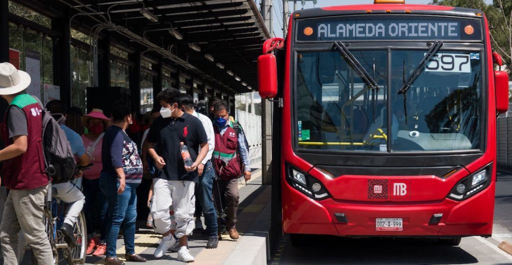 metrobus-cdmx-perritos-gatos