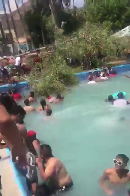 Video: Caída de árbol en balneario de Guanajuato