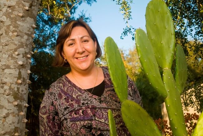 Sabías que… el nopal purifica el agua