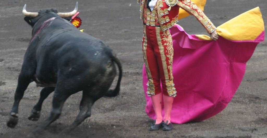 sheinbaum-consulta-prohibir-corridas-toros-cdmx