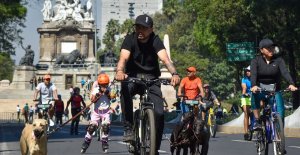 Ciclotón de la CDMX