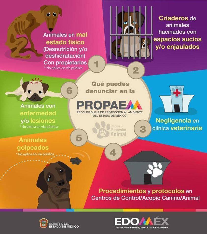 denuncia-propaem-estado-mexico