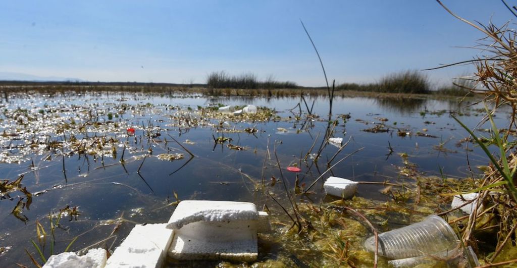 crisis-agua-mexico-contaminacion-unam