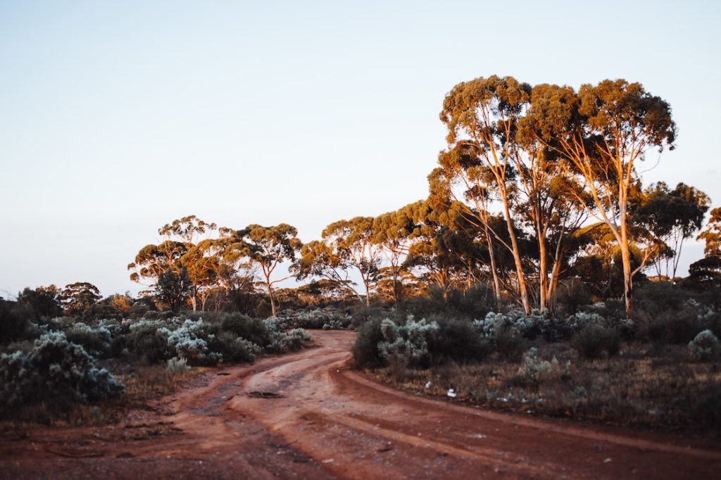 Mujer se perdió en bosque de Australia